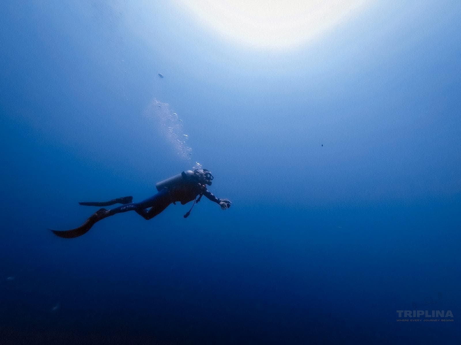Scuba Diving Grand Island Package in Goa photo 4