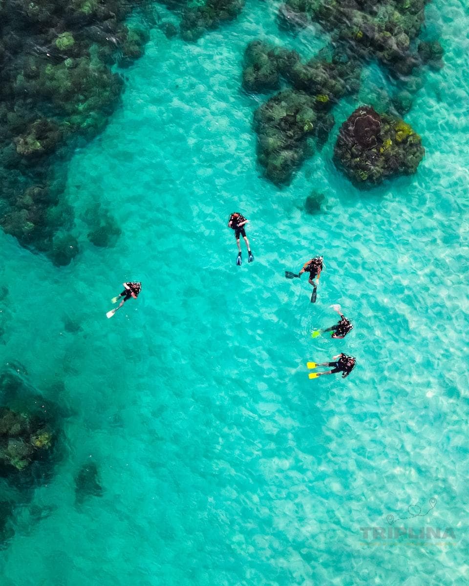 Scuba Diving Grand Island Package in Goa photo 5