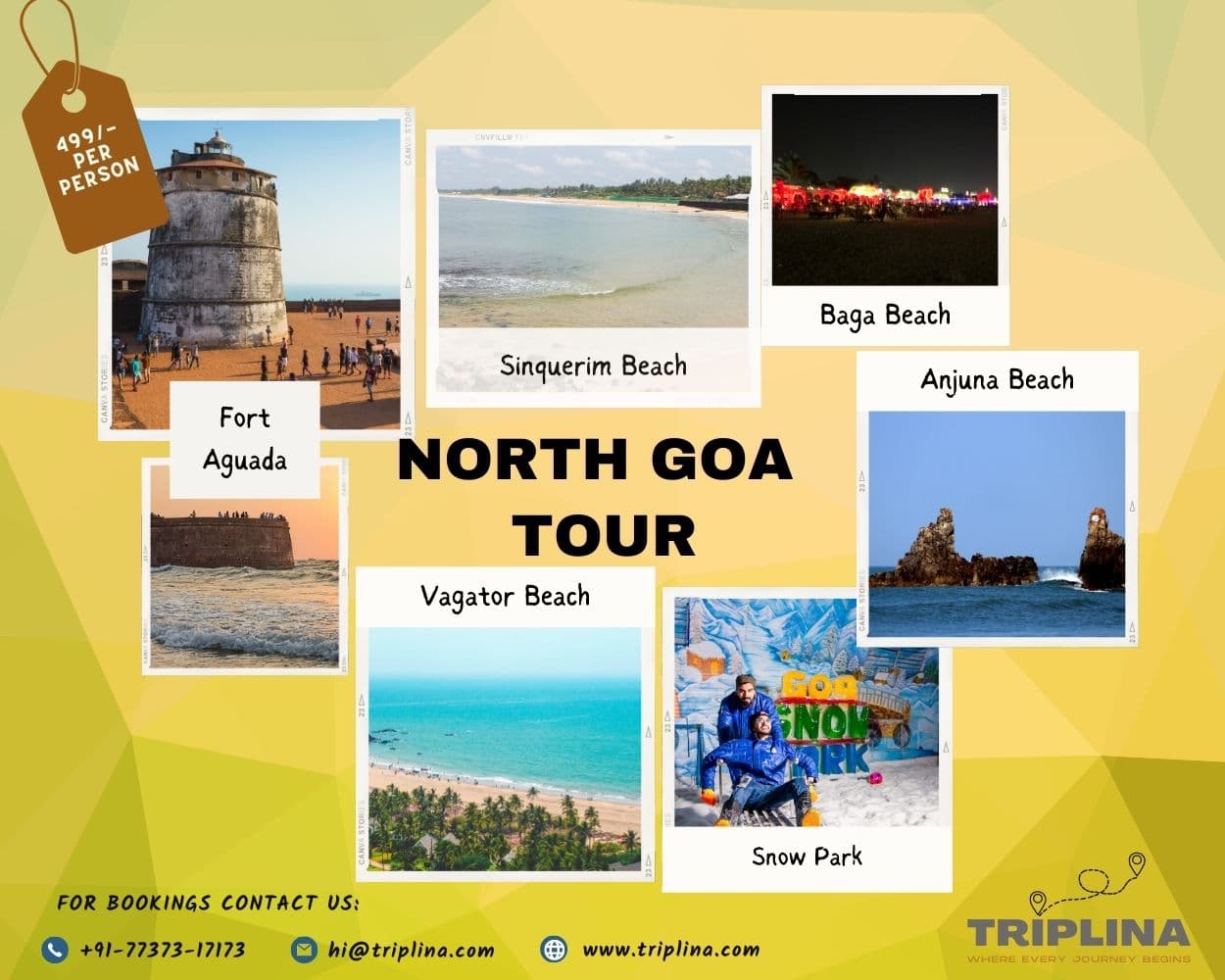 North Goa AC Bus Tour Package