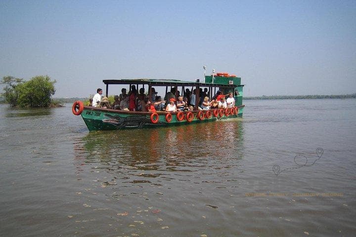 Bird Watching and Crocodile Waters Tour - Goa