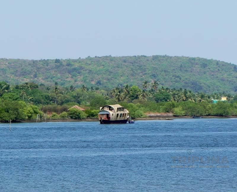 Boat Cruises in Goa 5
